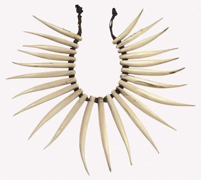 Necklace of split whale teeth housed at the Pitt Rivers Museum